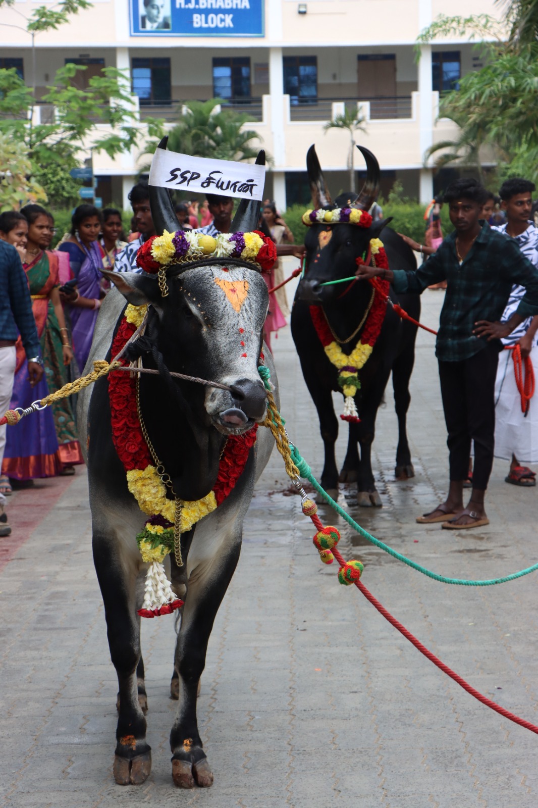 Pongal Celebration